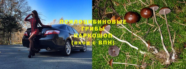 ПСИЛОЦИБИНОВЫЕ ГРИБЫ Алексин