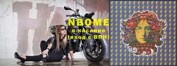 сатива Абинск