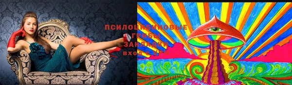 герыч Абаза