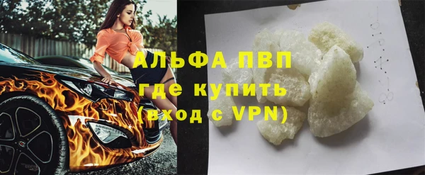 сатива Абинск