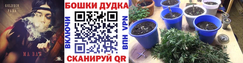 Каннабис MAZAR  Тында 